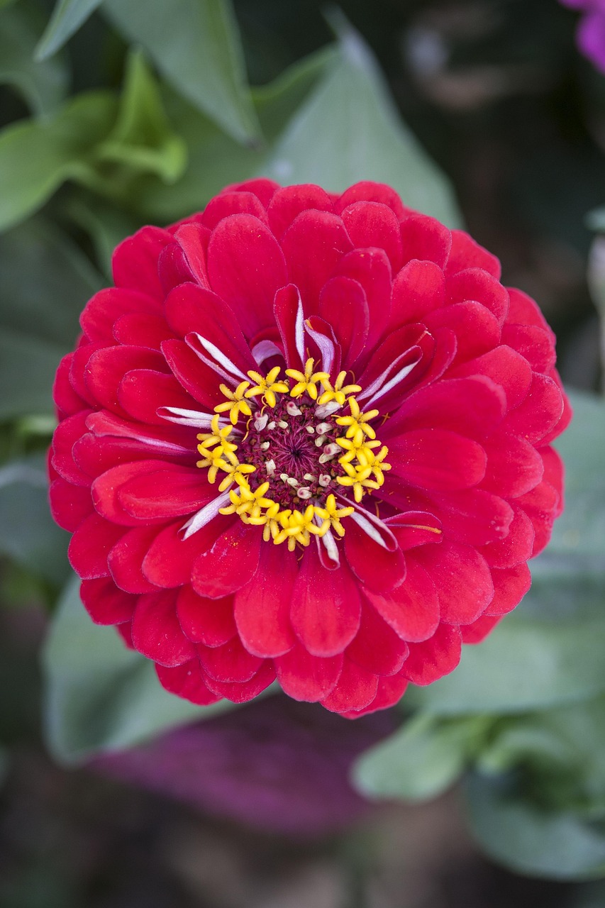 April Macro Nature Winner