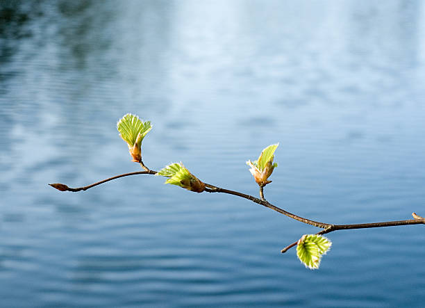 March Spring is Sprung Winner